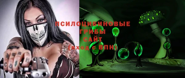 прущий лед Белокуриха